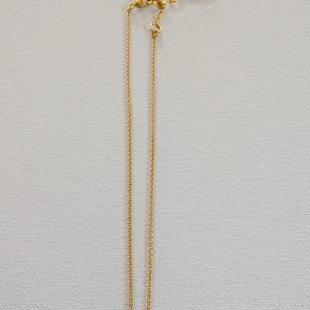 Sole Society Necklace - Picture 4 of 9